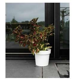 Vaso Autoirrigante Garden ID Bianco