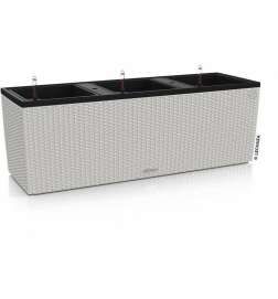 Vaso Autoirrigante Lechuza Grigio chiaro 100 x 32,5 x 34,5 cm Rettangolare