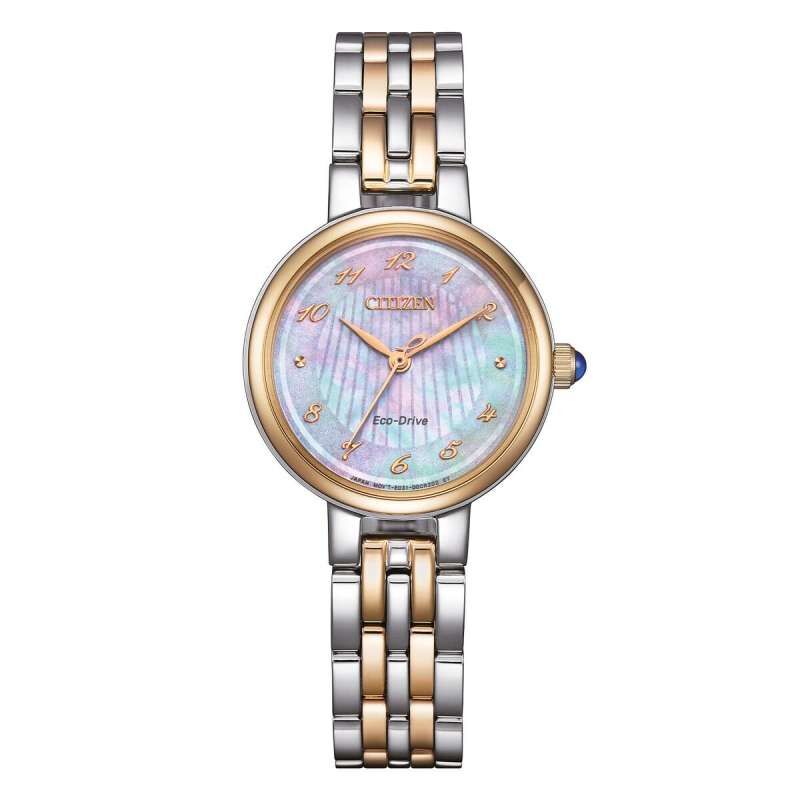 Men's Watch Citizen EM0996-84Y