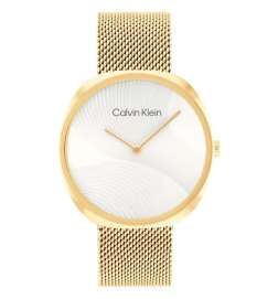 Orologio Uomo Calvin Klein 1685215