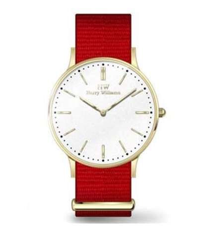 Orologio Uomo Harry Williams HW-2014L_15