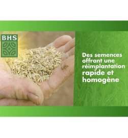 Seeds BHS