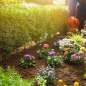 Drip watering system Gardena