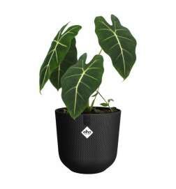 Plant pot Elho