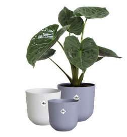 Vaso Elho Jazz Bianco Lilla Plastica Rotondo 3 Pezzi