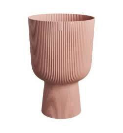 Vaso Elho