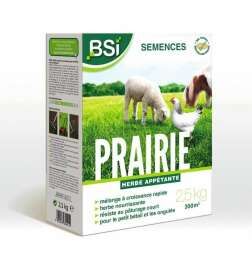 Seeds BSI