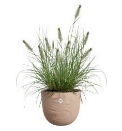 Vaso Elho Marrone 30 x 29,5 x 25 cm