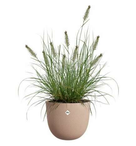 Vaso Elho Marrone 30 x 29,5 x 25 cm