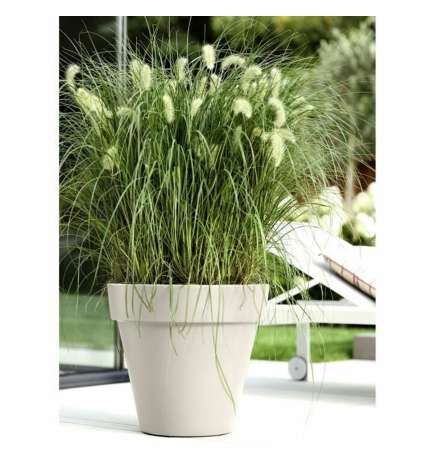 Vaso Elho Bianco 39 x 36 cm