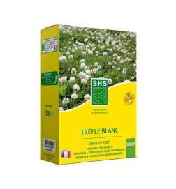 Semi BHS Trèfle Blanc 500 g