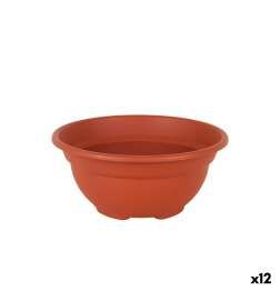 Vaso Dem Greentime Rotonda Ciotola Marrone ø 20 x 9 cm (12 Unità)