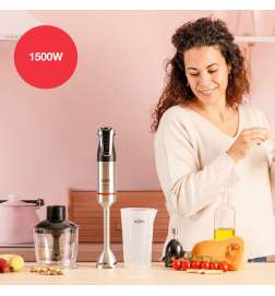 Hand-held Blender Solac BA5618