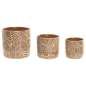 Planter Home ESPRIT (3 Units)