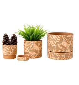 Planter Home ESPRIT (3 Units)